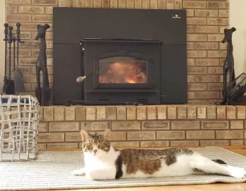 [Hearth.com] Stove Animals