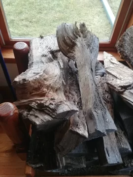 [Hearth.com] Chinese elm