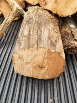 [Hearth.com] Mystery Wood??