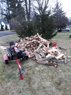 [Hearth.com] Tree taken down last week