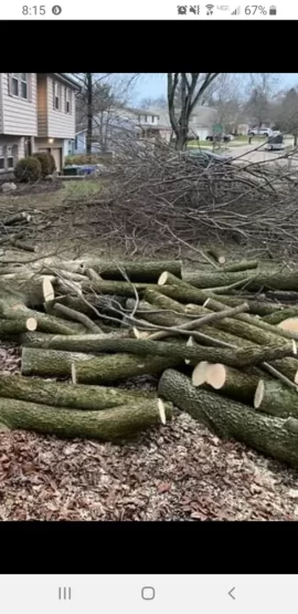 [Hearth.com] What type of wood? Hackberry?