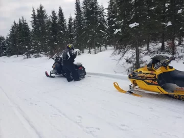 [Hearth.com] Sledding Pictures 2019