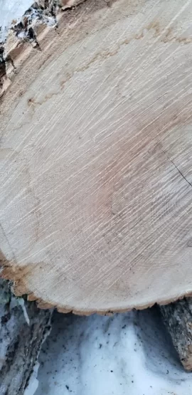 [Hearth.com] Need a wood ID