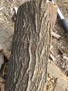 [Hearth.com] Honey Locust.....oak harvest