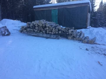 [Hearth.com] Start of the 2020 wood haul