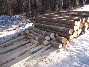 [Hearth.com] Start of the 2020 wood haul