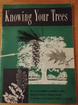 [Hearth.com] Knowing Your Trees