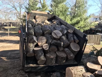 [Hearth.com] Not a bad text from tree guy