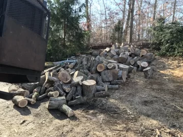 [Hearth.com] Not a bad text from tree guy