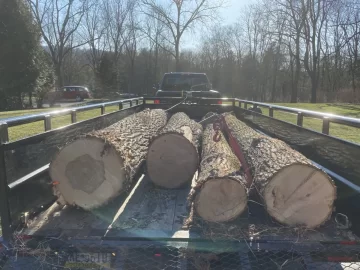 [Hearth.com] Start of the 2020 wood haul