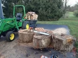 [Hearth.com] Start of the 2020 wood haul