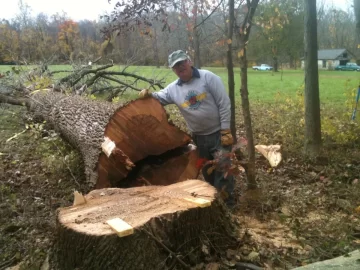 [Hearth.com] Start of the 2020 wood haul