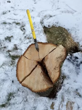 [Hearth.com] Wood that is very stringy, needs to be pulled apart