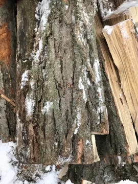 [Hearth.com] Wood Identification