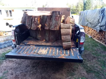 [Hearth.com] Oldest tree you have cut down