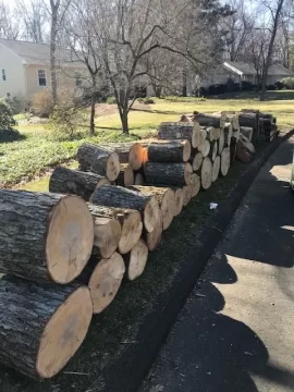 [Hearth.com] My Favorite Craigslist Wood Score!