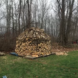 [Hearth.com] Is this diseased  wood, white oak, or something else?