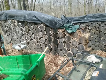 [Hearth.com] Eight year old black locust being split.