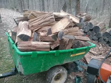 [Hearth.com] Eight year old black locust being split.