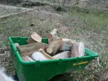 [Hearth.com] Cut some red elm PITA!