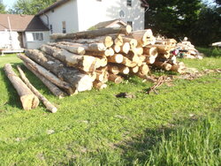 Ordered a Semi-load of Logs