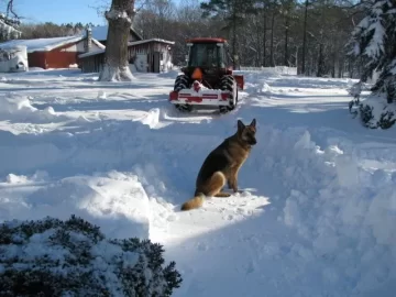 [Hearth.com] Snow Removal