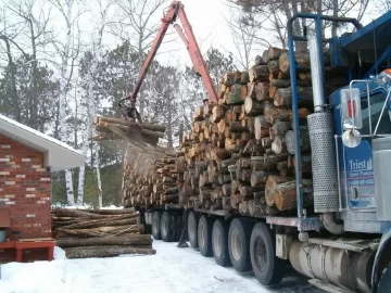 [Hearth.com] Firewood dude screwed up = major score for me !