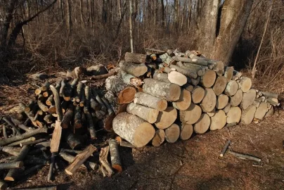 [Hearth.com] WoodButcher's Wood Stash so Far.........