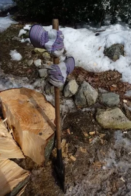 [Hearth.com] Best time to split White Pine