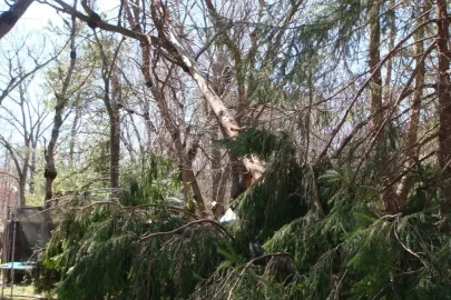 [Hearth.com] Tea Anyone?   **Update More pictures of blow downs in my yard**