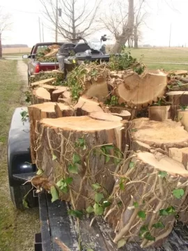 [Hearth.com] 145 year old Black Locust Score!