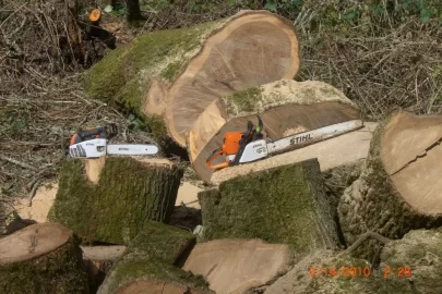 [Hearth.com] seeking recomandation for stihl pro saw