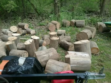 [Hearth.com] More red elm ,and sugar maple,cut on the river bed on my place,too much work.