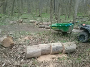 [Hearth.com] More red elm ,and sugar maple,cut on the river bed on my place,too much work.