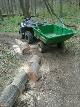 [Hearth.com] More red elm ,and sugar maple,cut on the river bed on my place,too much work.