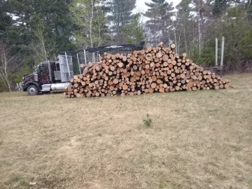 [Hearth.com] Ordered a Semi-load of Logs