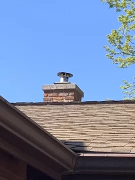 [Hearth.com] Chimney Question: Animal Guard?