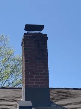 [Hearth.com] Chimney Question: Animal Guard?