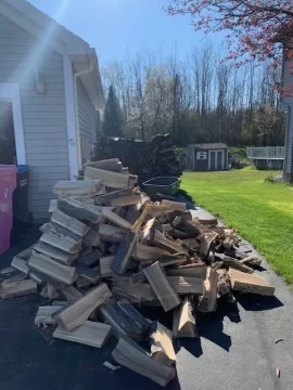 [Hearth.com] Scored a load of Locust