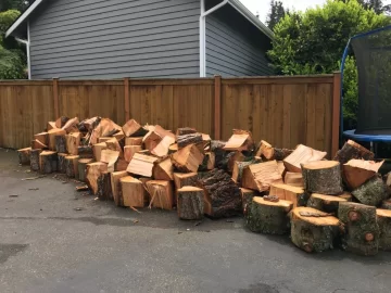 [Hearth.com] 4 free cords from neighbor's tree