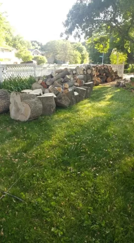 [Hearth.com] I Think I've Become the Neighborhood Tree Guy...