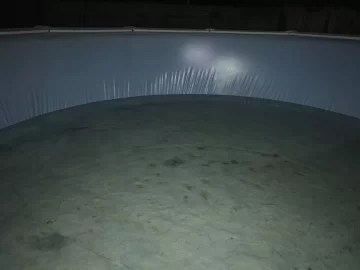 [Hearth.com] Pool liner not holding water anymore - replace?