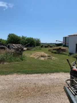 [Hearth.com] How long does is take to season infested ash trees, that are still alive, once cut down?