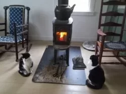 [Hearth.com] Freestanding Stove and Cats