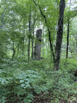 [Hearth.com] More old chimneys in the woods