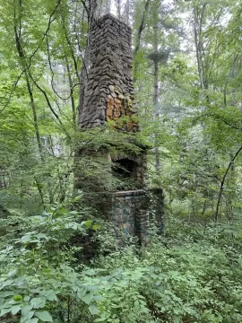 [Hearth.com] More old chimneys in the woods