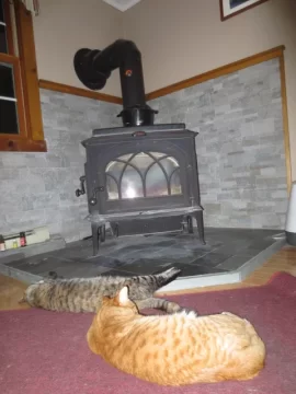 [Hearth.com] Freestanding Stove and Cats