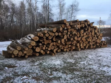 [Hearth.com] Ordered a Semi-load of Logs