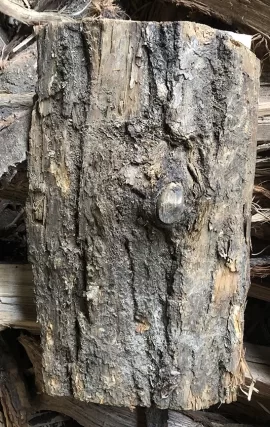 [Hearth.com] Wood Identification