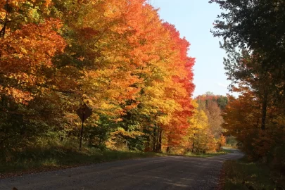 [Hearth.com] Fall Colors